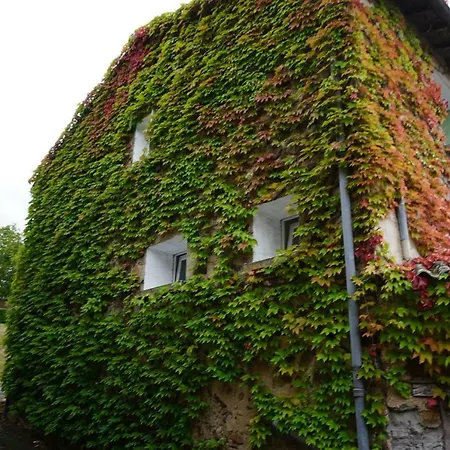 Ivy House *