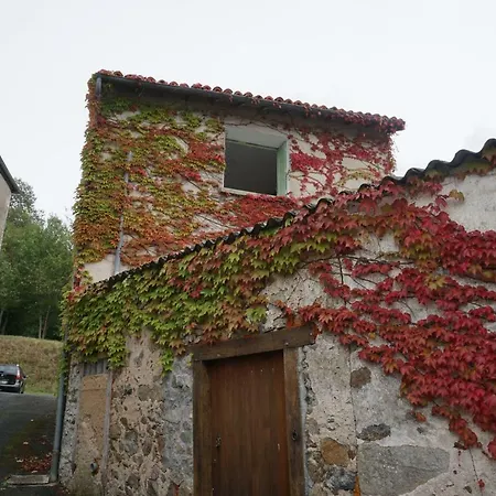 Ivy House *